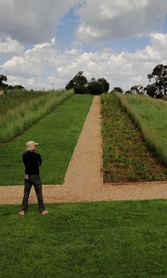 Apartheid Museum