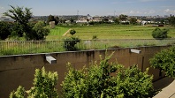 Proteapark top dam