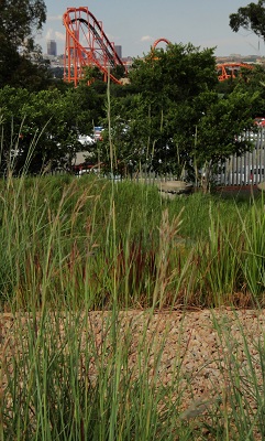 Apartheid Museum