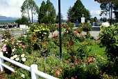 Bergview petrol station