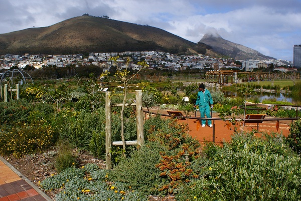 Green Point Park, Cape Town