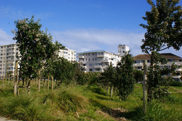 Green Point Park, Cape Town
