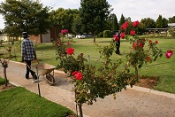 Laerskool Du Preez van Wyk schoolgrounds