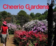 Cheerio Gardens