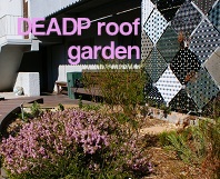 DEADP roof garden, Cape Town