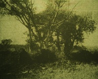 First European dwelling in Eastern Transvaal