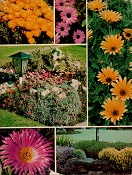 <i>Gardening with ground covers</i>, 1975